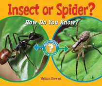 Insect or Spider?: How Do You Know? (Which Animal Is Which?)