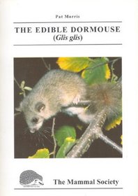 The Edible Dormouse (Glis Glis)