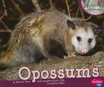 Opossums (Nocturnal Animals)