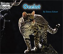 Ocelot (Welcome Books)