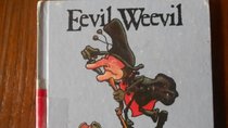 Eevil Weevil (Bugg books)