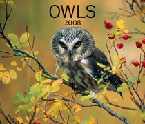 Owls 2008 (Calendar)