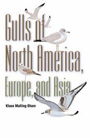 Gulls of North America, Europe, and Asia (Field Guides)