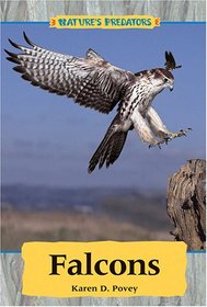Nature's Predators - Falcons (Nature's Predators)