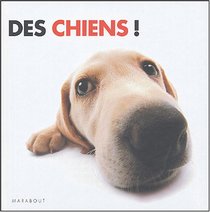 Des chiens ! (French Edition)