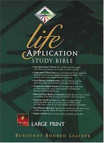 Life Application Study Bible: New Living Translation : Indexed : Burgundy Bonded Leather : Large Print