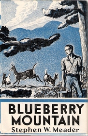 Blueberry Mountain