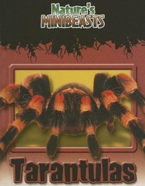 Tarantulas (Nature's Minibeasts)
