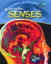 Raintree Perspectives: My Amazing Body - Senses (Raintree Perspectives) (Raintree Perspectives)