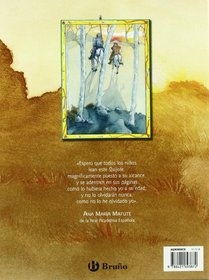 Aventuras de Don Quijote y Sancho/ Adventures of Don Quixote and Sancho (Quijote/ Quixote) (Spanish Edition)
