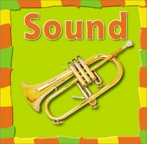 Sound (Bridgestone Science Library Our Physical World)