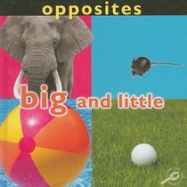 Opposites: Big and Little (Concepts (Hardcover Rourke))