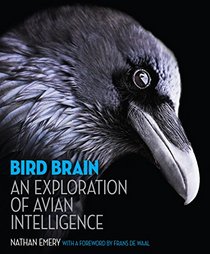 Bird Brain: An Exploration of Avian Intelligence