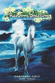 Castaway Colt (Phantom Stallion: Wild Horse Island, Bk 4)