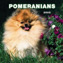 Pomeranians 2005 Wall Calendar