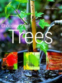 Choosing Small Trees