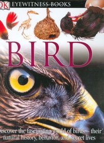 Bird (DK Eyewitness Books)