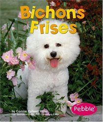 Bichons Frises (Pebble Books)