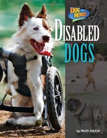 Disabled Dogs (Dog Heroes)