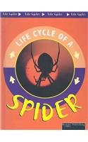Spider (Life Cycles)