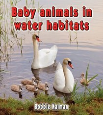Baby Animals in Water Habitats (Habitats of Baby Animals)