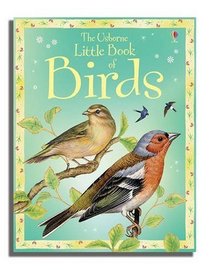 Usborne Little Book of Birds