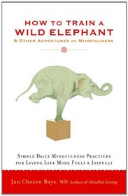 How to Train a Wild Elephant: And Other Adventures in Mindfulness