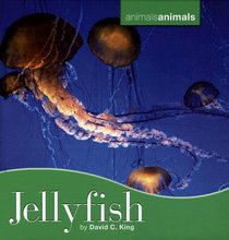 Jellyfish (Animals, Animals)