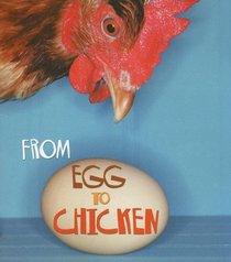 From Egg to Chicken (How Living Things Grow)
