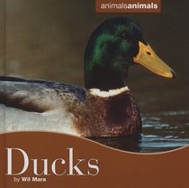 Ducks (Animals Animals)