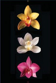 Orchids Journal