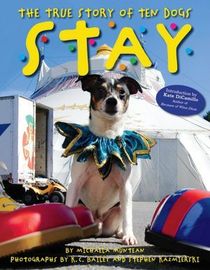 The True Story Of Ten Dogs STAY