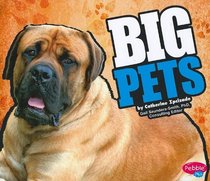 Big Pets (Pebble Plus: Big)