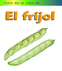 El Frijol/Bean (Ciclos De La Vida De)