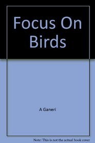 Focus On Birds