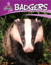 Badgers (British Wildlife)