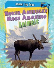 North America's Most Amazing Animals (Perspectives)