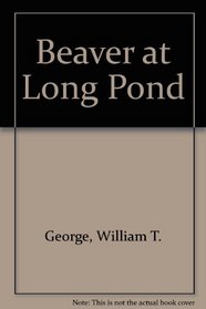 Beaver at Long Pond