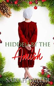 Hidden by the Amish: Amish Christmas Romance