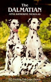 The Dalmatian (How to Train)