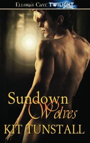 Sundown Wolves: Only Love / Fortune's Fool / Asking for Trouble (Sundown Pack)