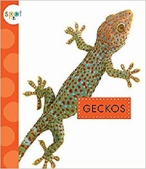 Geckos (Spot)