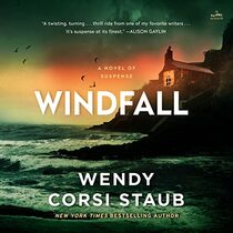 Windfall: A Novel of Suspense