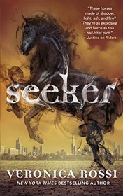 Seeker (Riders)