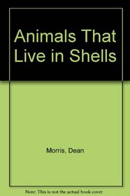 Animals That Live in Shells