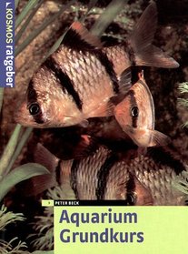 Aquarium Grundkurs.