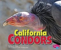 California Condors (Birds of Prey)