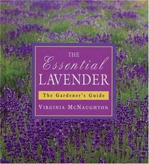 Essential Lavender: The Grower's Guide