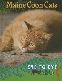 Main Coon Cats (Eye to Eye With Cats)