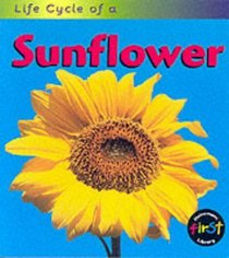 Life Cycle of a Sunflower (Life Cycle of A...)
